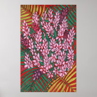 Gingembre de cône rose Alpinia Fleurs tropicales F