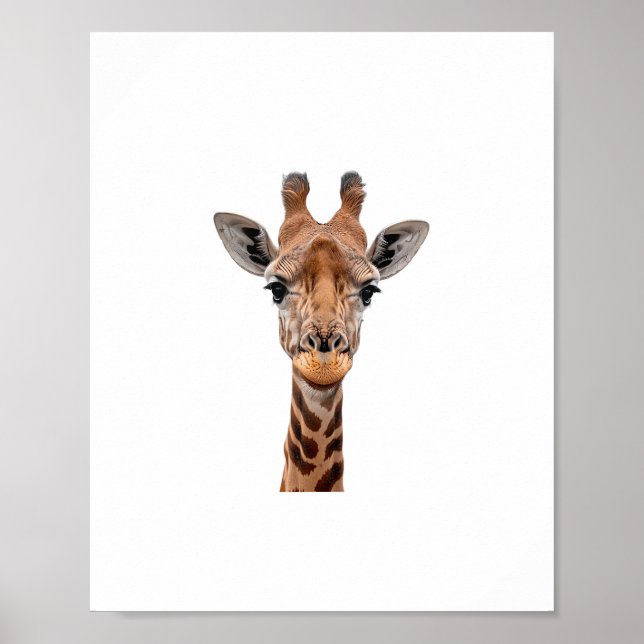 Poster Girafe _1 (Devant)