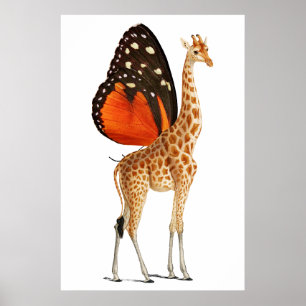 Poster Girafe à papillon