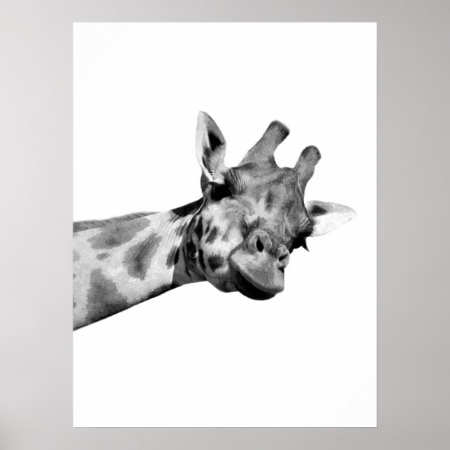 Poster girafe noir blanc peekaboo animal africain photo (Devant)