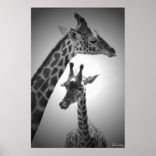 Poster girafes, mère et enfant