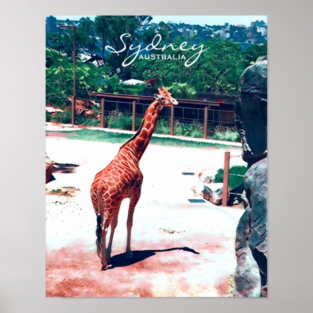 Poster Giraffe animal Sydney Australie (Devant)