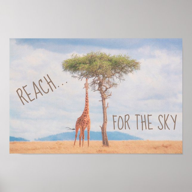 Poster Giraffe Arbre Grand Savannah Atteindre le ciel Mot (Devant)