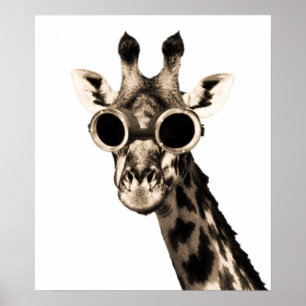 Poster Giraffe Avec Lunettes De Soleil Steampunk Lunettes
