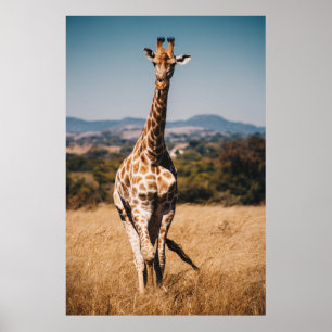 POSTER GIRAFFE ENTOURÉ DE GRASS BROWN