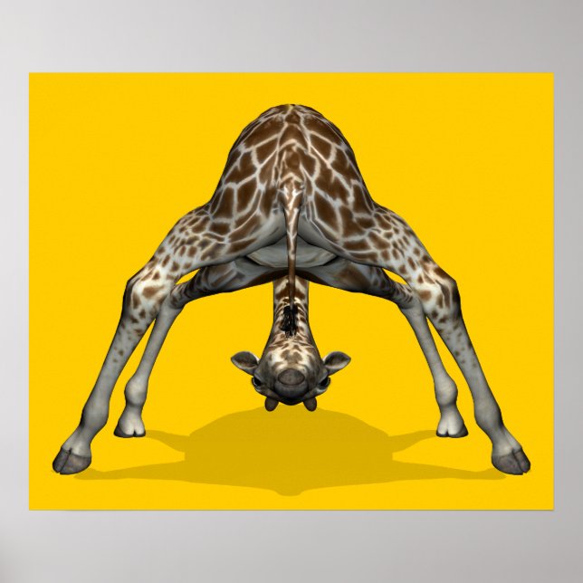 Poster Giraffe gymnastique (Devant)