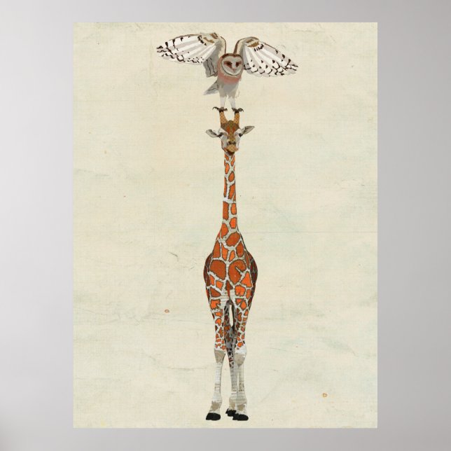 Poster GIRAFFE & OWL Art (Devant)