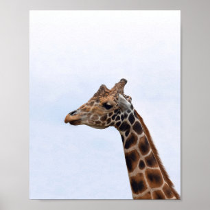 Poster Giraffe Portrait Photo 106