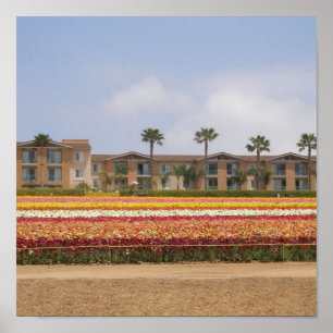 Poster Gisement de fleur de Carlsbad