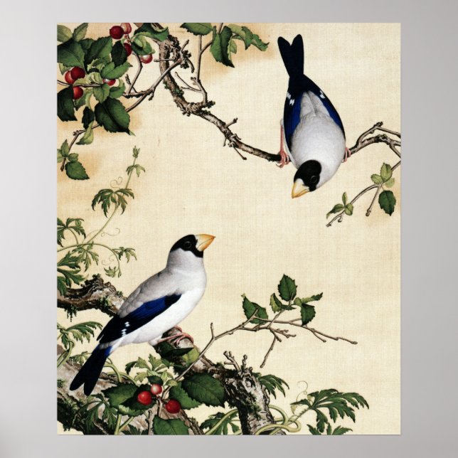 Poster Giuseppe Castiglione - Beaux-Arts en fleurs de cer (Devant)