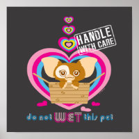 Gizmo | Ne pas attendre cet animal