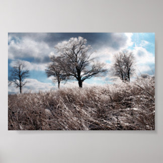 Poster glace de prarie