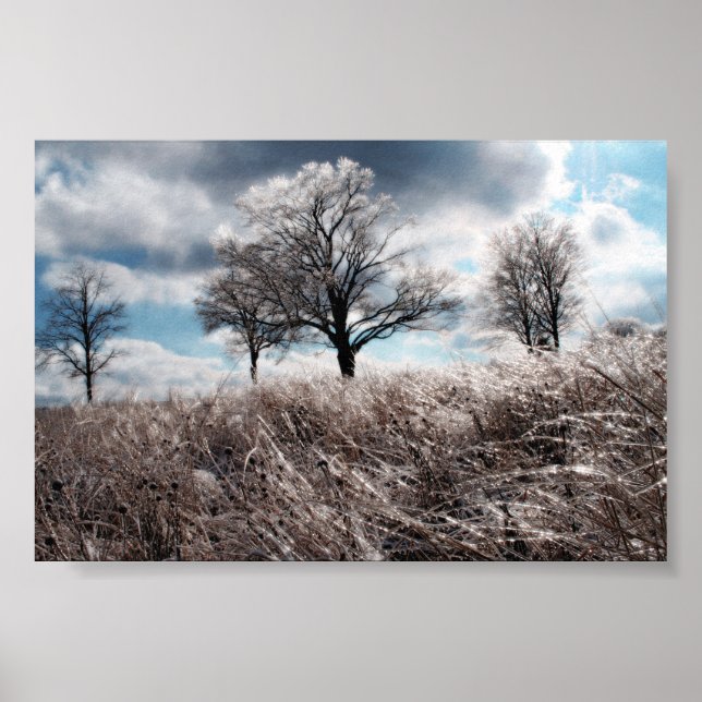 Poster glace de prarie (Devant)