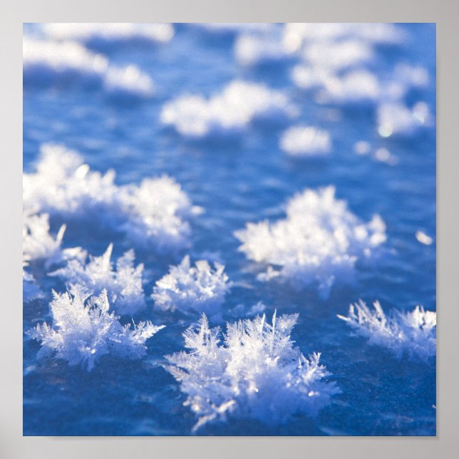 Poster Glace de snowflake (Devant)