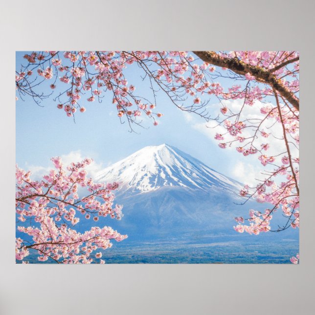 Poster Glace et neige | Cherry Blossoms Mt. Fuji Japon (Devant)