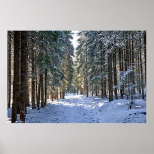 Poster Glace et neige Tatra Mountains, Pologne