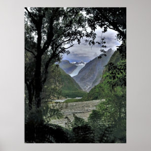 Poster Glacier Fox