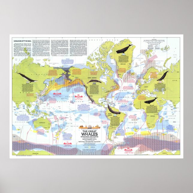 Poster " Global : 1976 - Wale der Welt Wanderkarte ... (Devant)