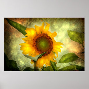 Poster Gloire (affiche de tournesol)