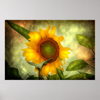 Poster Gloire (affiche de tournesol)