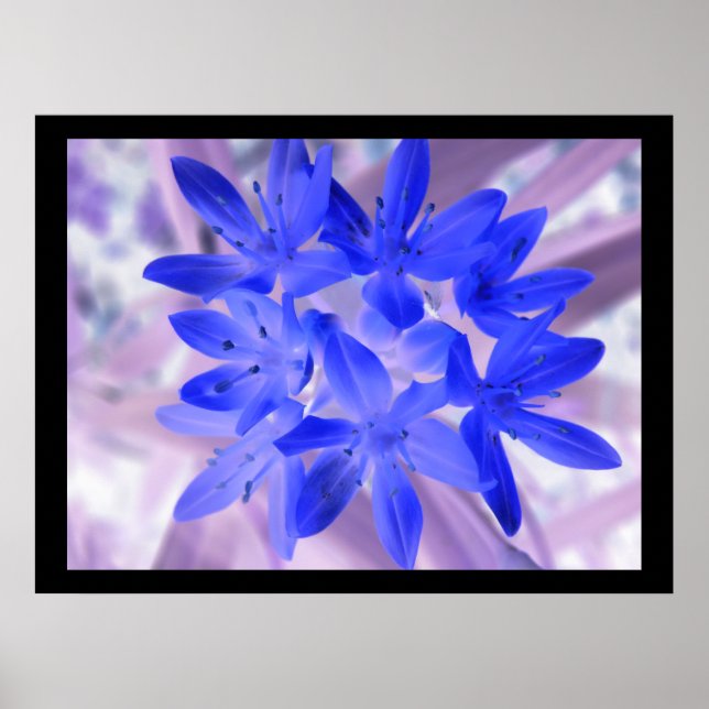 Poster Gloire De L'Impression Bleue Chockante De Neige (Devant)