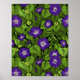 Poster Gloire du matin en violet et vert