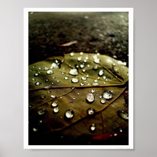 Poster Glow Drop (Devant)