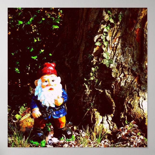 Poster Gnome rouge (Devant)