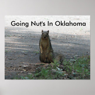 Poster Going Nut's In Oklahoma