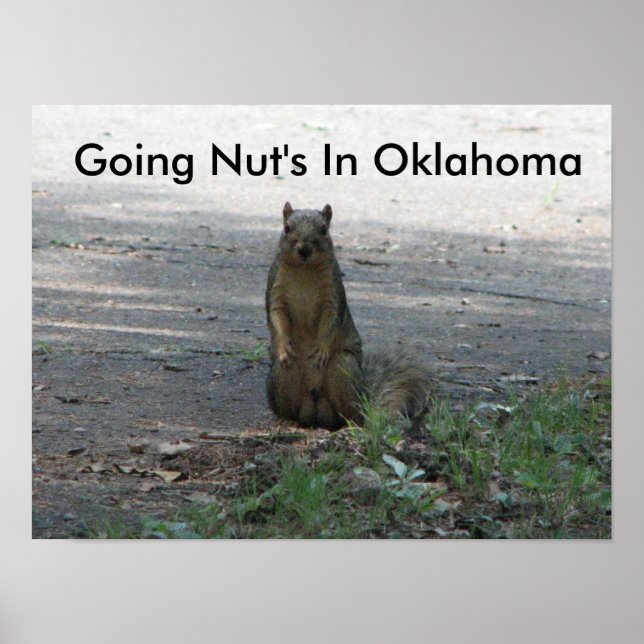 Poster Going Nut's In Oklahoma (Devant)