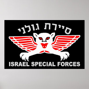 Poster Golani Recon Dark