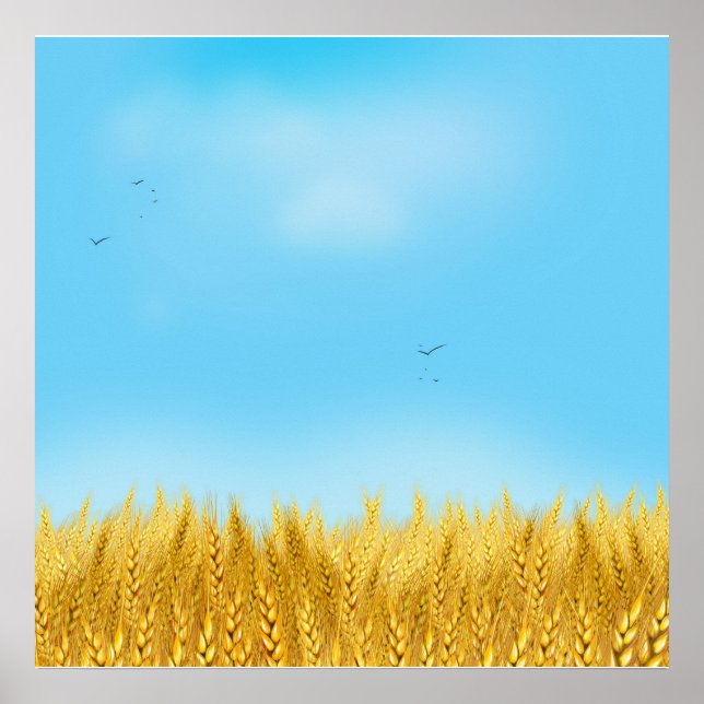 Poster Gold Blé Field Ciel bleu Peinture à l'huile Été (Devant)