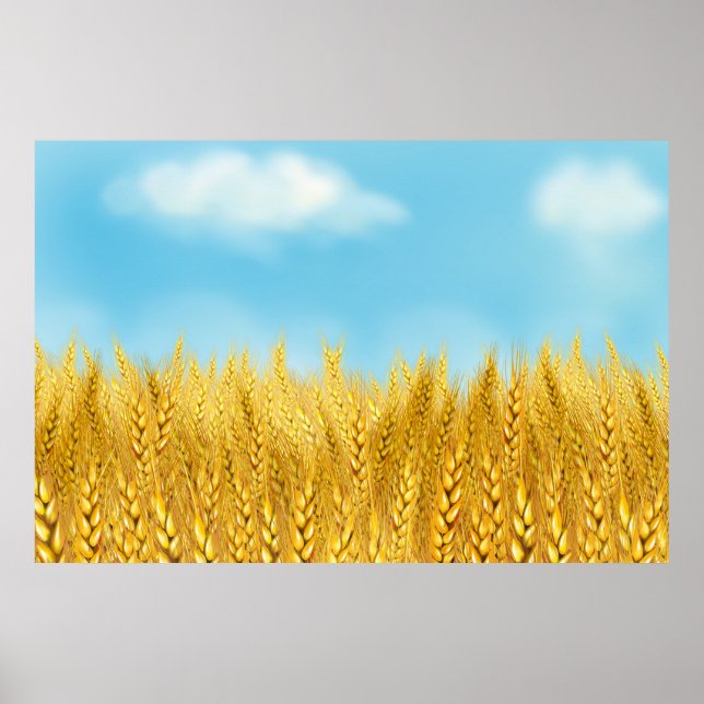 Poster Gold Blé Field Ciel bleu Peinture à l'huile Été (Devant)