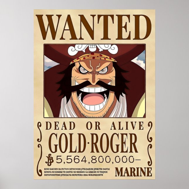 Poster GOLD ROGER Une pièce recherchée (Devant)