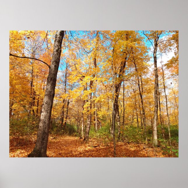 Poster Golden (Devant)