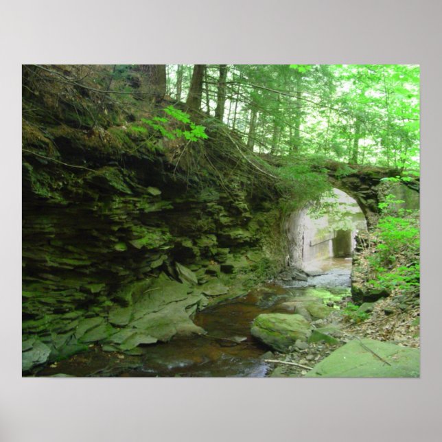 Poster Golden Eagle Trail (Devant)