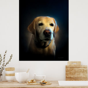 Poster Golden Labrador