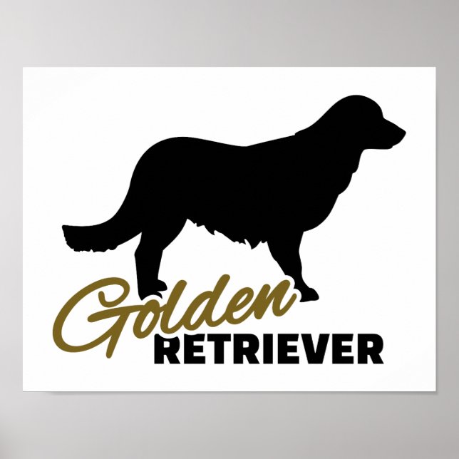 Poster Golden Retriever (Devant)