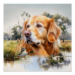 Poster Golden Retriever