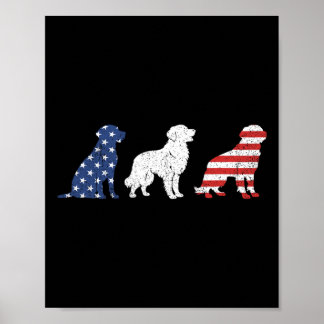 Poster Golden Retriever 4 juillet Merica _1