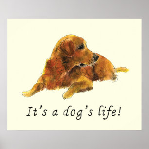 Poster Golden Retriever aquarelle Peinture Chien Slogan