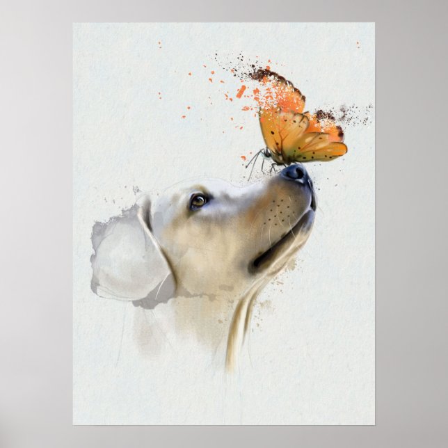 Poster Golden Retriever avec un papillon sur son nez (Devant)