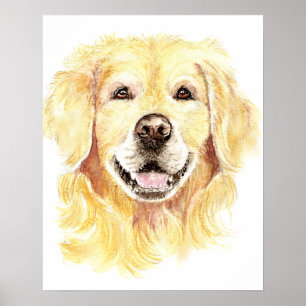 Poster Golden Retriever Chien Animal animal Aquarelle