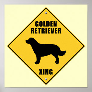Poster Golden retriever croisant le signe (XING)