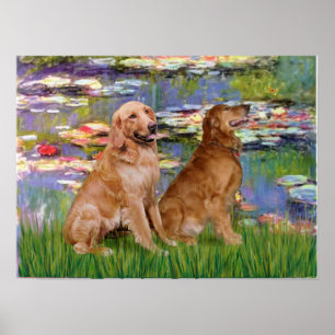 Poster Golden Retriever (deux) - Lys 2