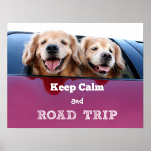 Poster Golden Retriever Gardez le calme et Voyage sur rou