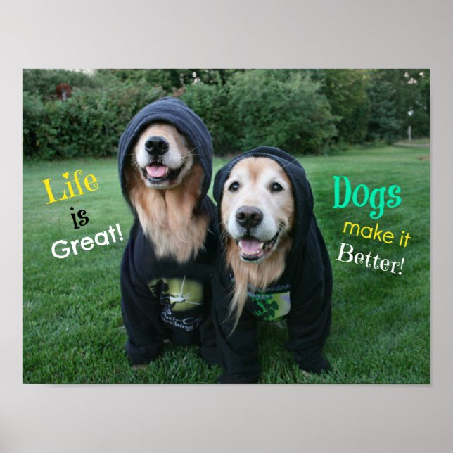 Poster Golden Retriever Life est génial (Devant)