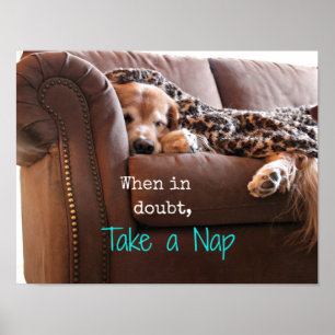Poster Golden Retriever Prenez une sieste