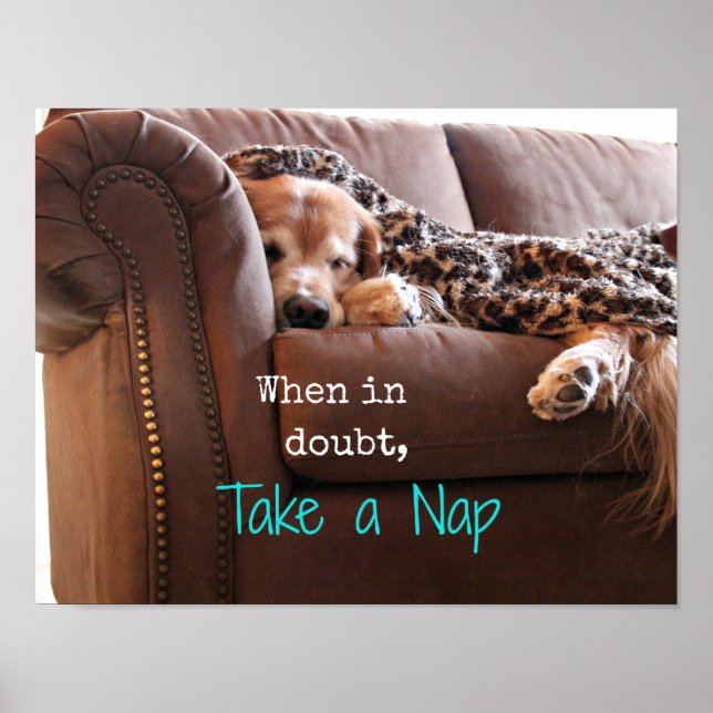 Poster Golden Retriever Prenez une sieste (Devant)