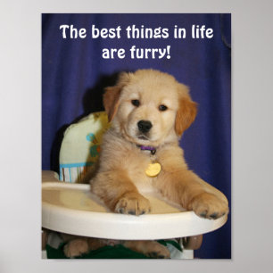 Poster Golden Retriever Pup Les meilleures choses dans la